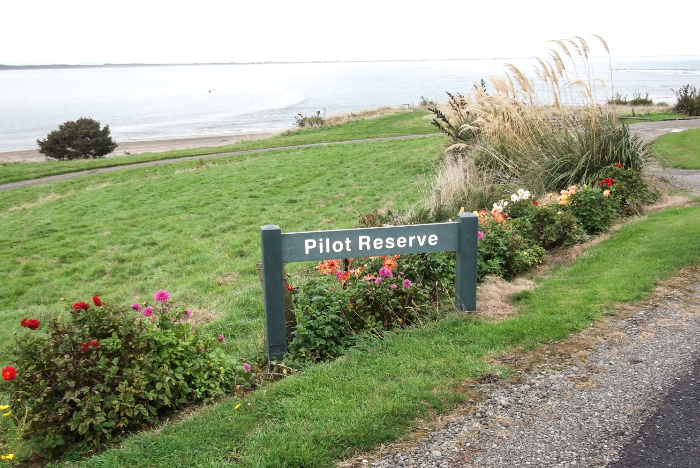 Pilot Reserve (1)-451